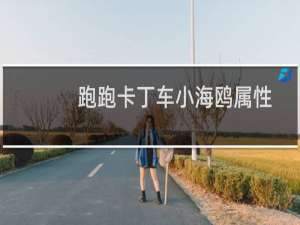 跑跑卡丁车小海鸥属性