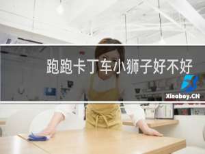 跑跑卡丁车小狮子好不好