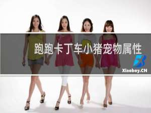 跑跑卡丁车小猪宠物属性