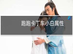 跑跑卡丁车小白属性