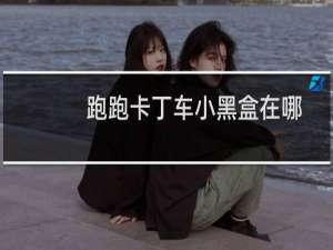 跑跑卡丁车小黑盒在哪