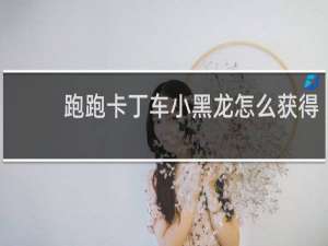 跑跑卡丁车小黑龙怎么获得
