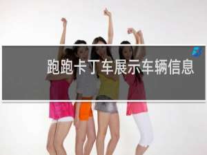 跑跑卡丁车展示车辆信息