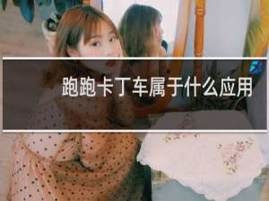 跑跑卡丁车属于什么应用