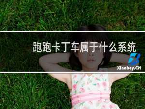 跑跑卡丁车属于什么系统
