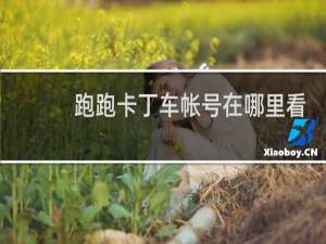跑跑卡丁车帐号在哪里看