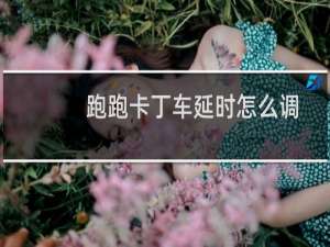 跑跑卡丁车延时怎么调