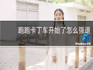 跑跑卡丁车开始了怎么强退