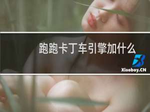 跑跑卡丁车引擎加什么