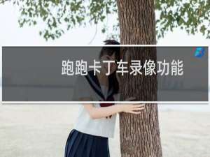 跑跑卡丁车录像功能