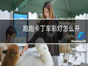 跑跑卡丁车彩灯怎么开