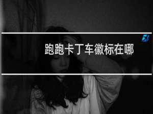 跑跑卡丁车徽标在哪