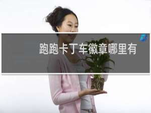 跑跑卡丁车徽章哪里有