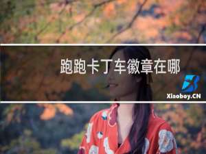 跑跑卡丁车徽章在哪