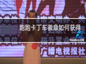 跑跑卡丁车徽章如何获得