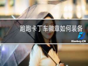跑跑卡丁车徽章如何装备