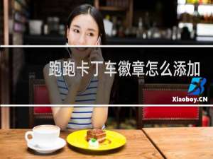 跑跑卡丁车徽章怎么添加