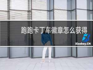 跑跑卡丁车徽章怎么获得