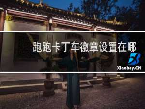 跑跑卡丁车徽章设置在哪