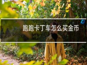跑跑卡丁车怎么买金币
