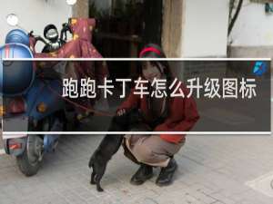 跑跑卡丁车怎么升级图标