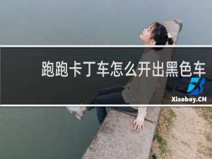 跑跑卡丁车怎么开出黑色车