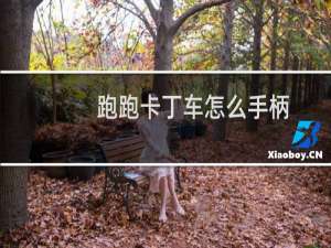 跑跑卡丁车怎么手柄