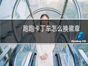 跑跑卡丁车怎么换徽章