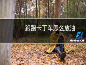 跑跑卡丁车怎么放油