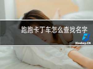 跑跑卡丁车怎么查找名字