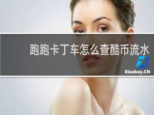 跑跑卡丁车怎么查酷币流水