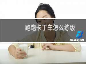 跑跑卡丁车怎么练级