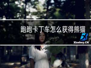 跑跑卡丁车怎么获得熊猫