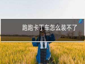 跑跑卡丁车怎么装不了