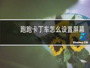 跑跑卡丁车怎么设置屏幕