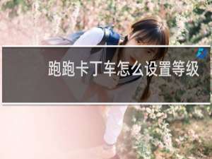 跑跑卡丁车怎么设置等级