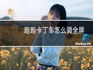 跑跑卡丁车怎么调全屏