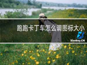 跑跑卡丁车怎么调图标大小