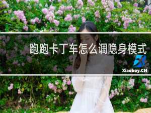 跑跑卡丁车怎么调隐身模式