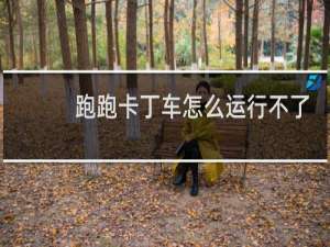 跑跑卡丁车怎么运行不了