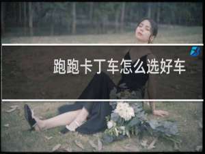 跑跑卡丁车怎么选好车