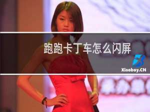 跑跑卡丁车怎么闪屏