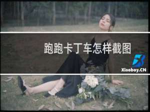 跑跑卡丁车怎样截图