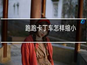 跑跑卡丁车怎样缩小