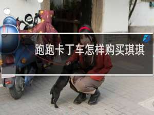 跑跑卡丁车怎样购买琪琪