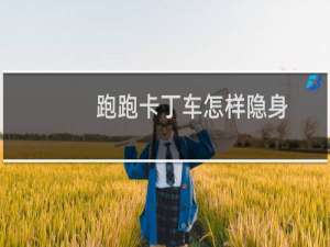 跑跑卡丁车怎样隐身