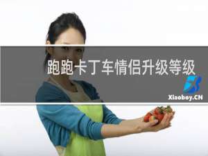 跑跑卡丁车情侣升级等级