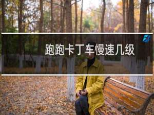跑跑卡丁车慢速几级
