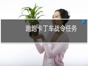 跑跑卡丁车战令任务
