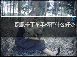 跑跑卡丁车手柄有什么好处